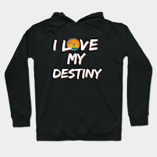 The destiny is loved Hoodie